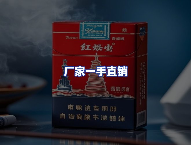 专业团队